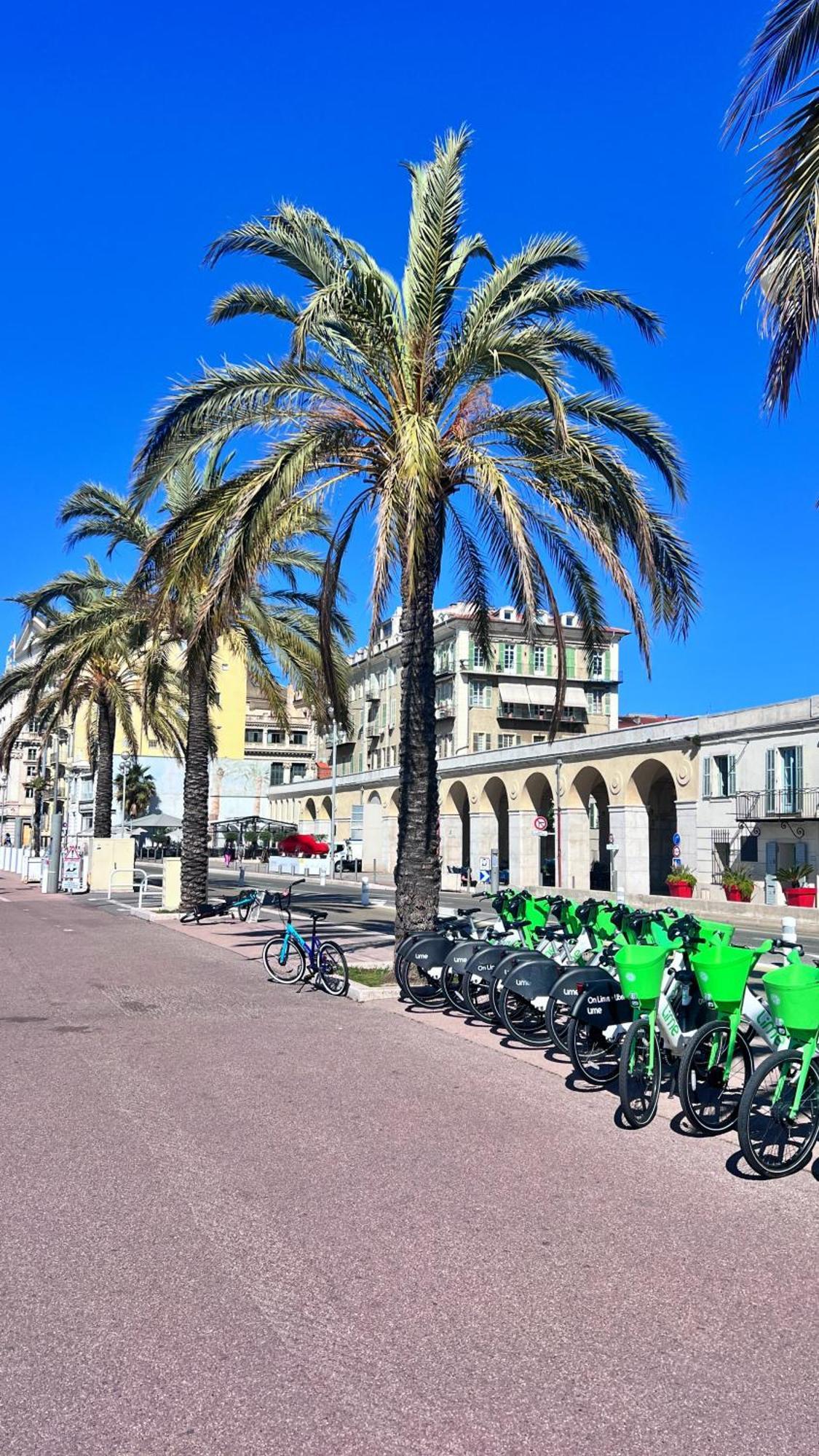 Ferienwohnung L'Azur Plaisance Nizza Exterior foto